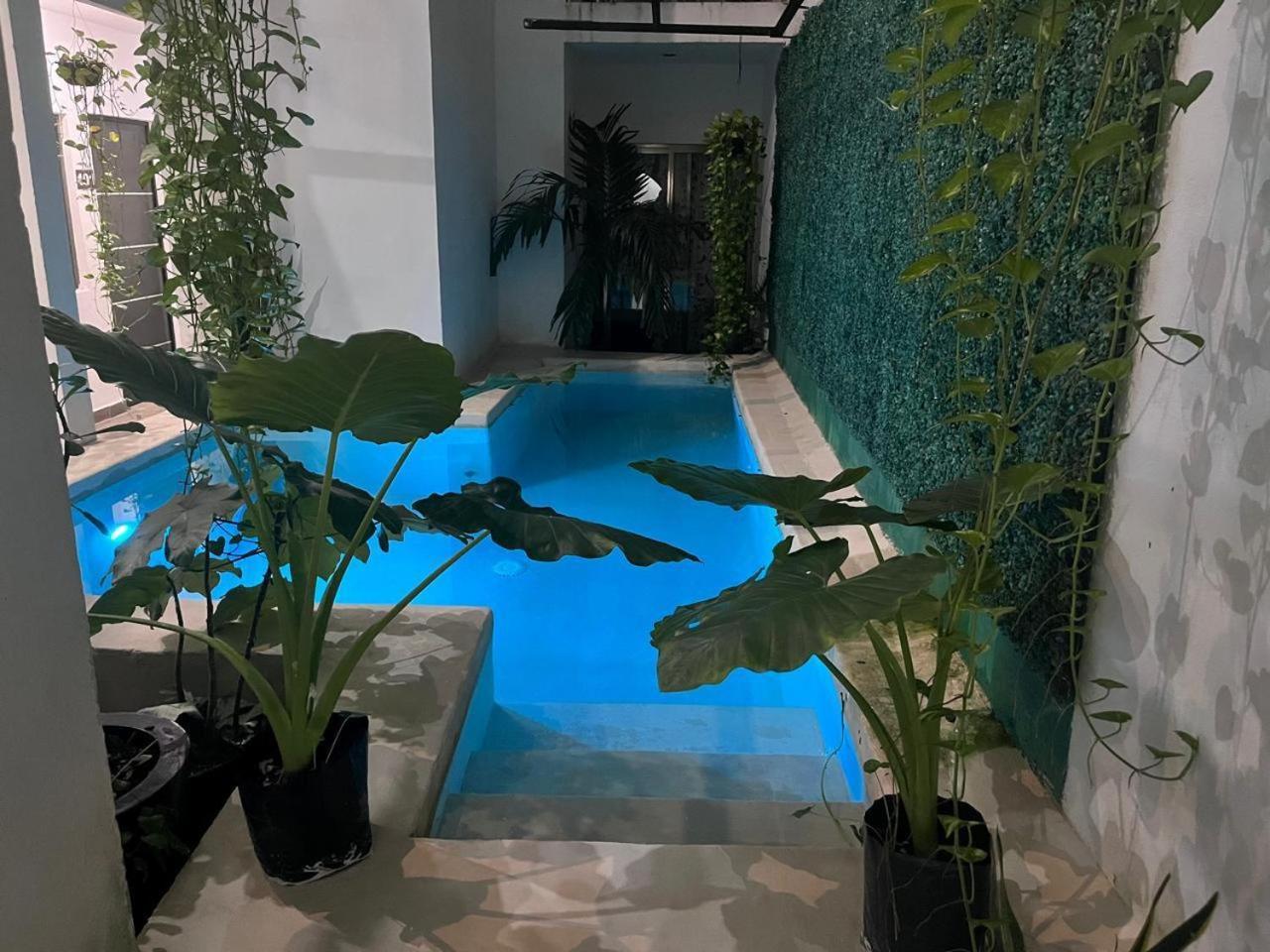 Playadelcarmen Apartamento